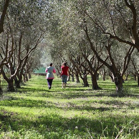 Agriturismo A'Sena-Runcatini Ciminà 외부 사진