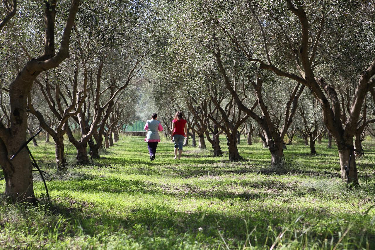 Agriturismo A'Sena-Runcatini Ciminà 외부 사진